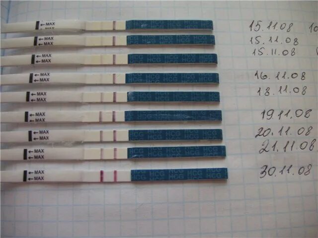 Тест после 2 недель зачатия. Тест после зачатия. Тесты на беременность по дням. Тест на беременность после оплодотворения. Тесты после оплодотворения.