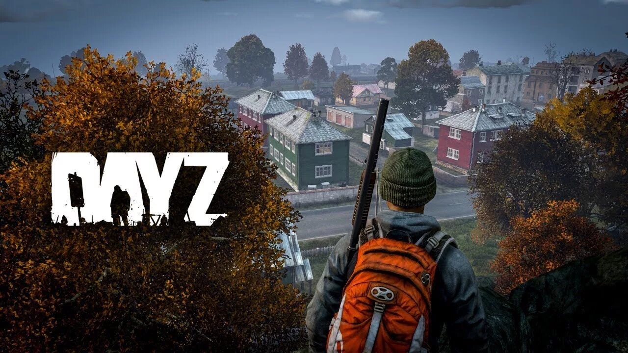 Dayz offline. Дейз. DAYZ стрим. DAYZ арты. Дейзи превью.