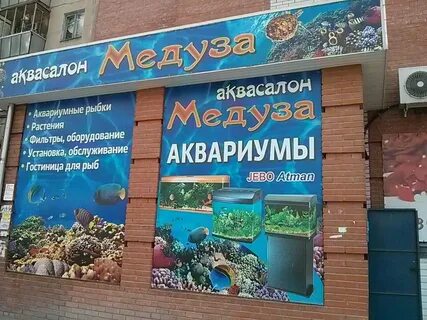 Рыба бердска