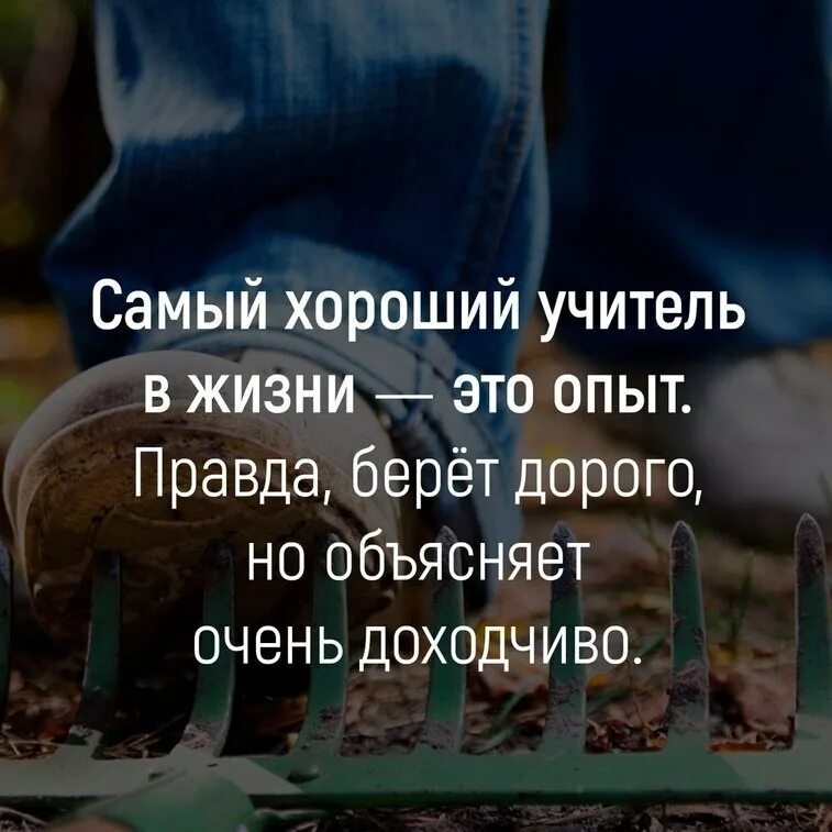 Прийти на помощь жизненный опыт. Самый хороший учитель опыт. Самый хороший учитель в жизни. Жизнь самый лучший учитель. Самый лучший учитель в жизни опыт.