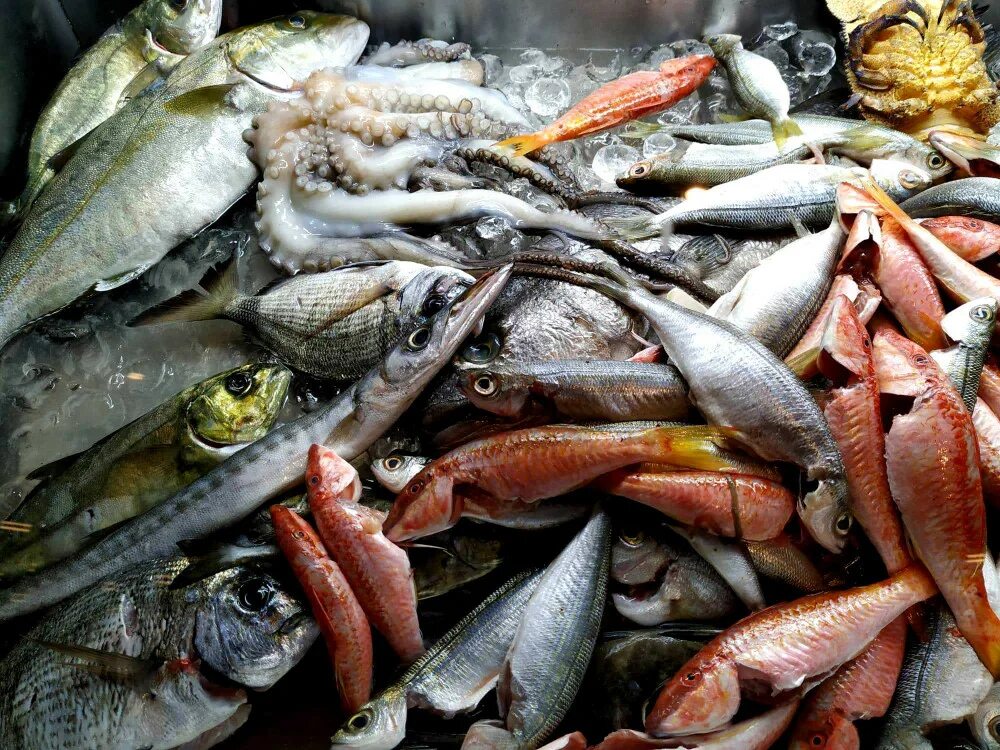 рыба в ассортименте. много рыбы орел. рыбный базар. рыбный прилавок. рыба на прилавке.