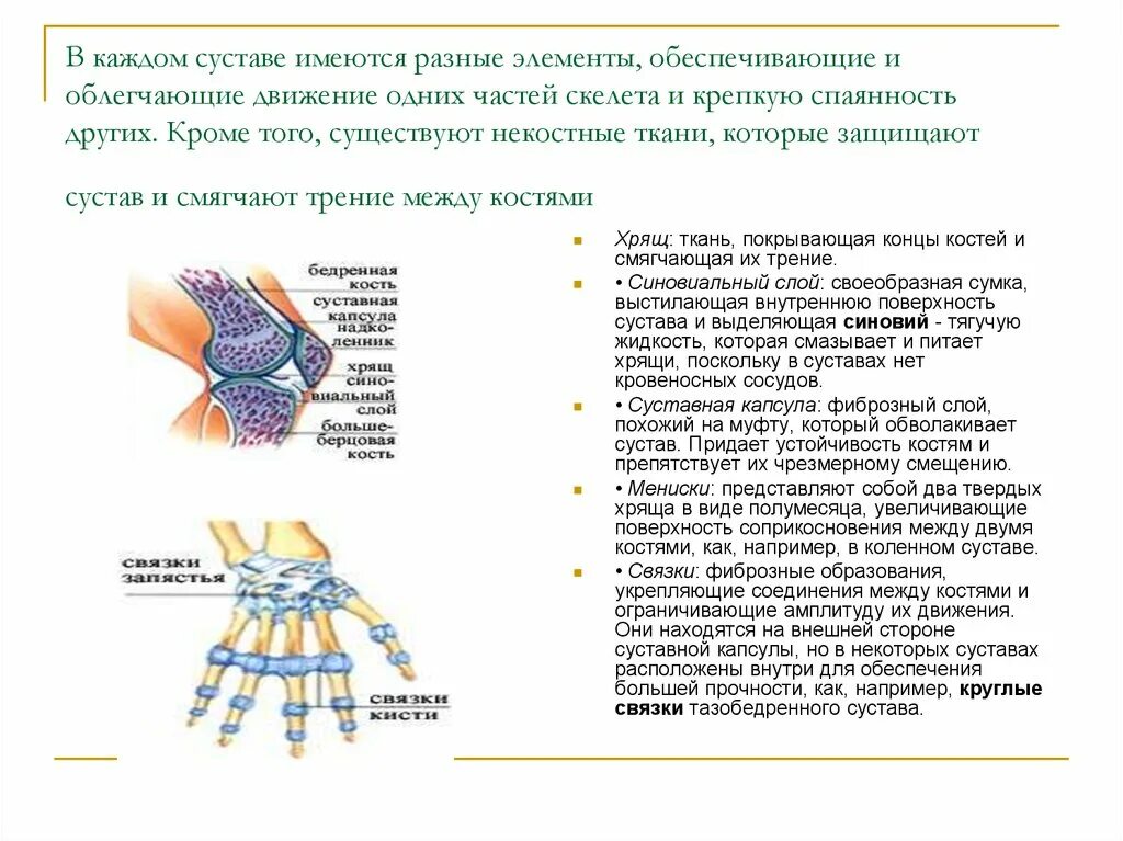 Чем покрыты суставные поверхности костей. Ткань покрывающая суставные поверхности костей. Движение костей. Сустав и смягчают трение между костями. Уменьшает трение суставных поверхностей костей.