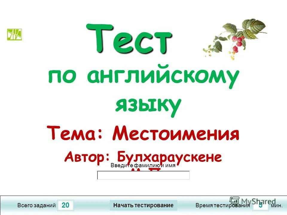 Контрольный тест по теме местоимение 6 класс