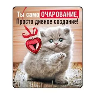 Самой очарованье