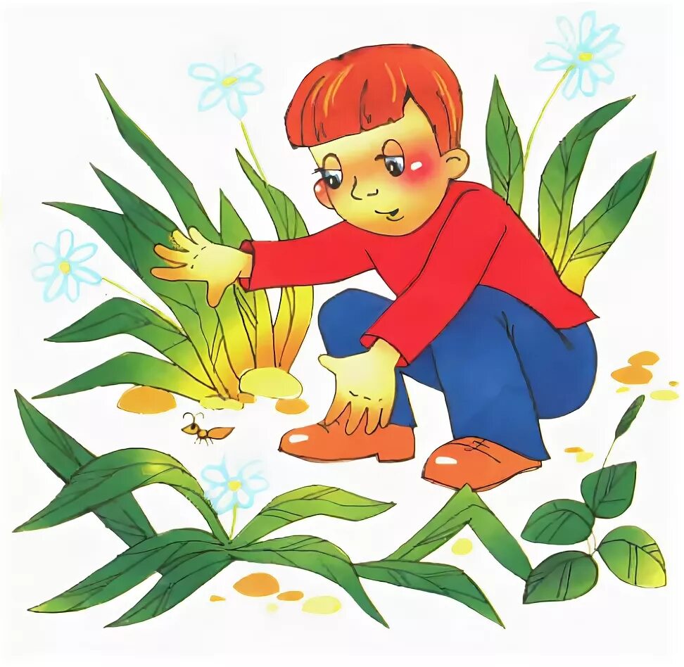 юный натуралист барто