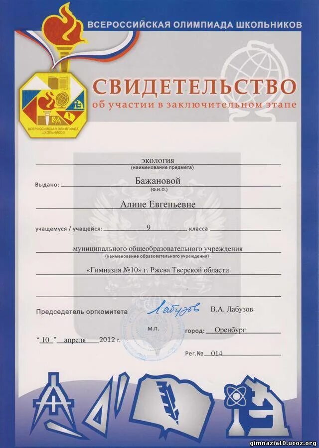 Сертификат для школьников. Сертификат для школьников красноярский край. Сертификат курсы финансовой грамотности. Основы здорового питания для детей школьного возраста сертификат. Сертификат для школьников красноярский край.