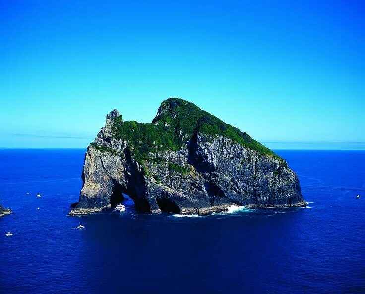 Новые острова отзывы. Остров новая Зеландия. Острова Окленд. Оклендские острова новая Зеландия. Лафонтеновы острова.