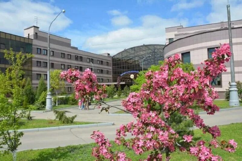 Солнцево детская больница войно-ясенецкий. Нпц солнцево войно-ясенецкого. Научно практический центр войно ясенецкого москва. Детский центр в солнцево войно ясенецкий. Практический центр медицинской помощи детям войно ясенецкого.