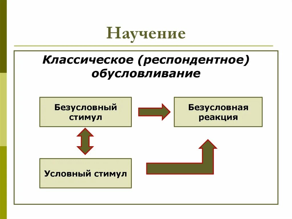 Опыт и научение