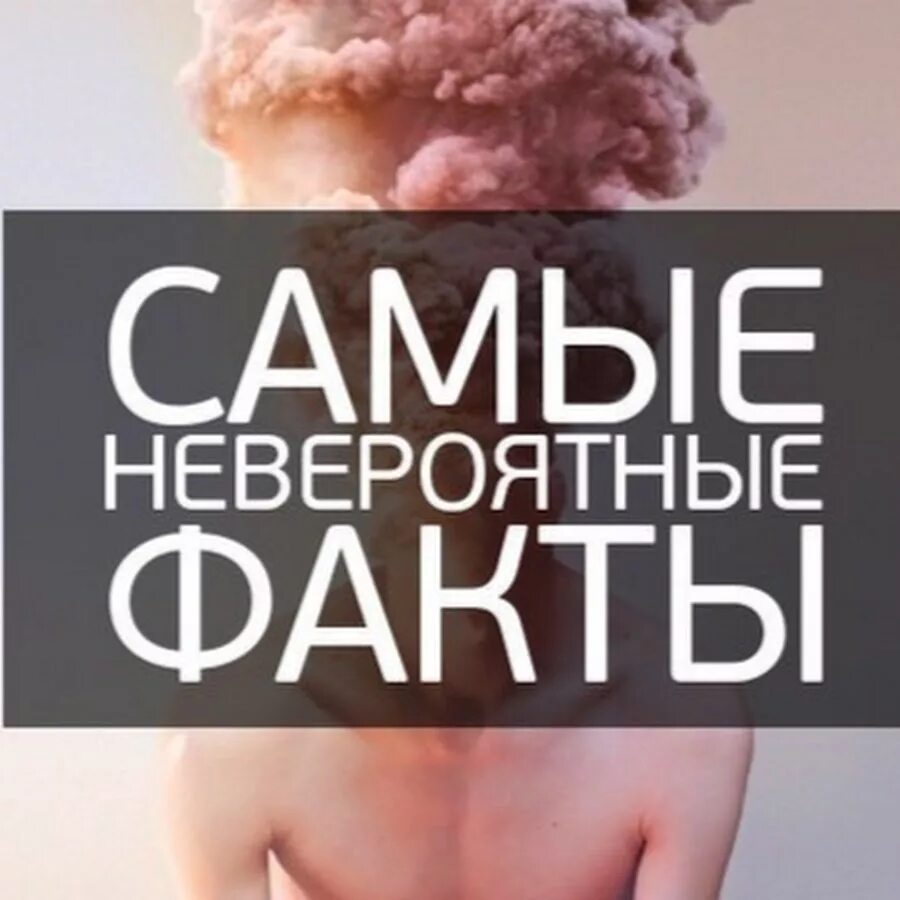 Невероятные факты в которые отказываешься. Невероятные факты. невероятные факты в которые отказываешься верить. невероятные факты обложка. невероятные факты в которые отказываешься верить в картинках.