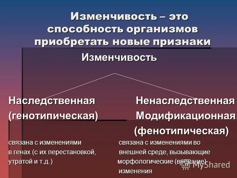 Способность организмов приобретать новые признаки это. Изменчивость. Генотипическая изменчивость. Способность организмов приобретать новые признаки. Характеристика генотипической изменчивости.