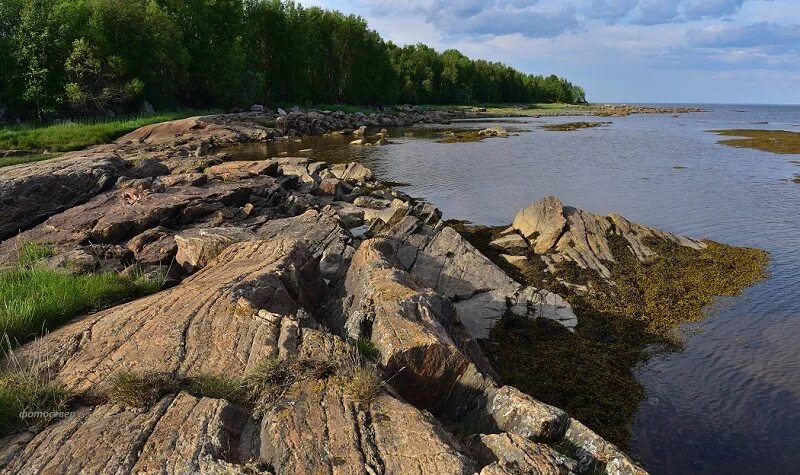 Берег белого моря у Беломорска. Слоёный берег белого моря Беломорск. Поморский берег. Остров на реке. Я видел берега полные