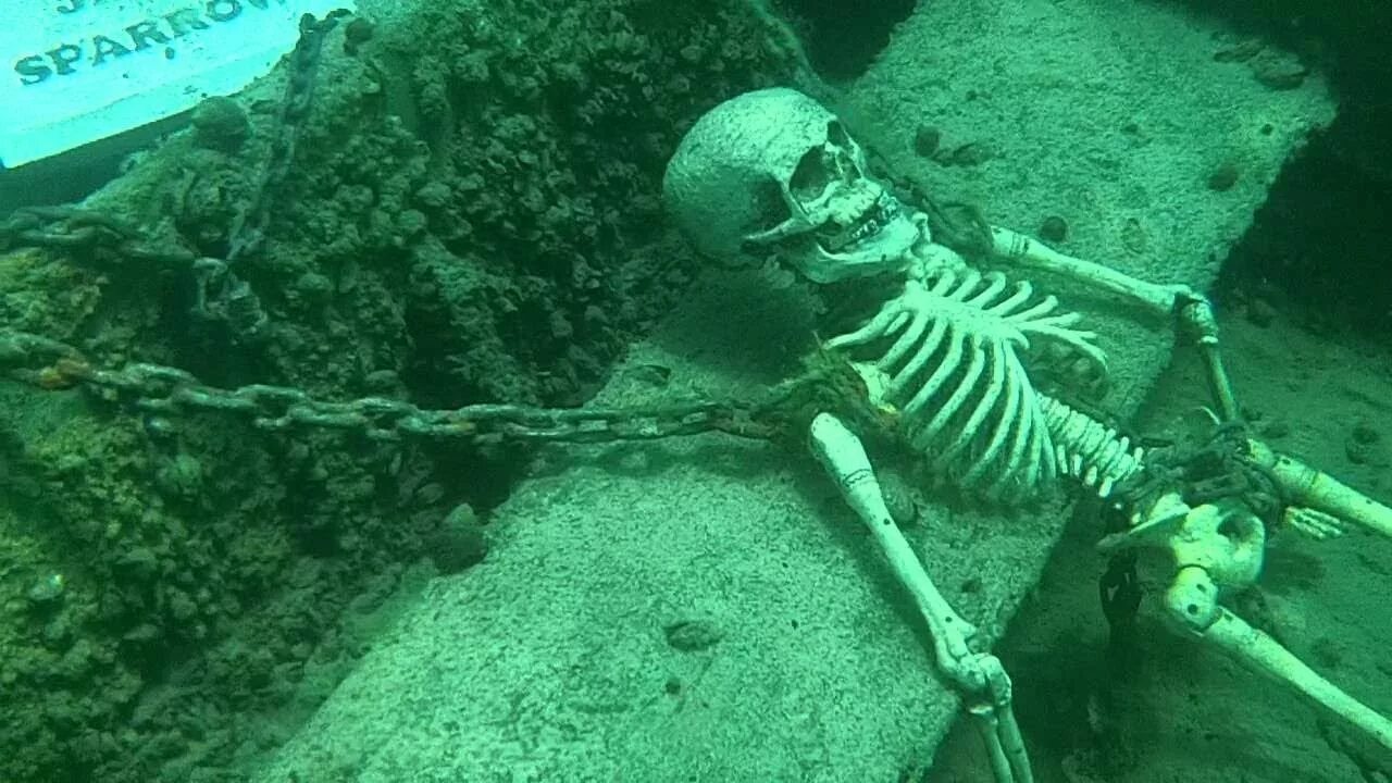 Скелеты в затонувших кораблях.
