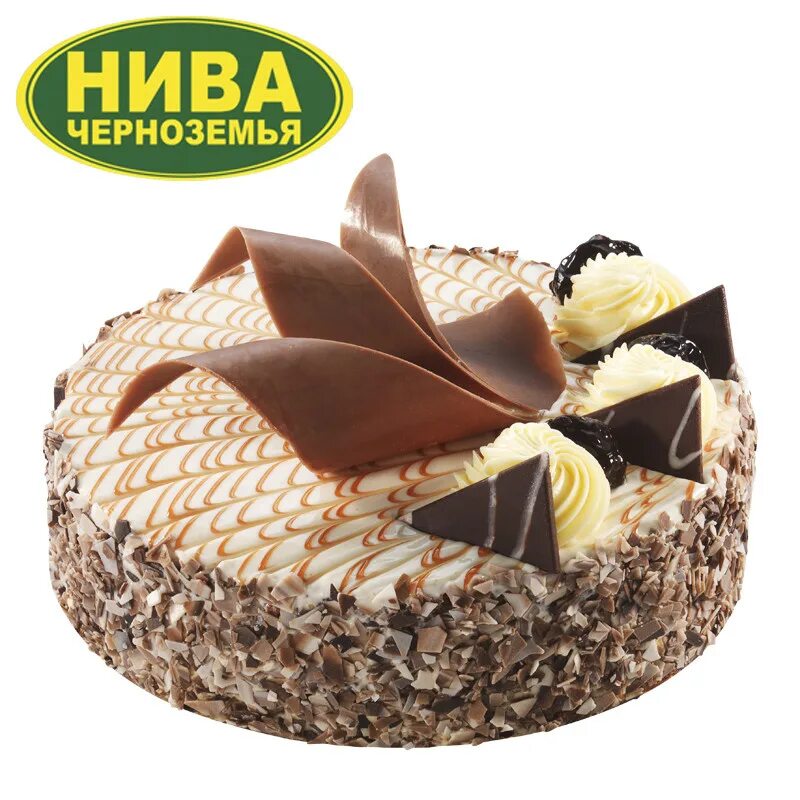 Эстерхази нива черноземья. Железногорские торты в орле каталог. Торт эстерхази нива черноземья. Князь эстерхази. Железногорские торты в орле каталог.