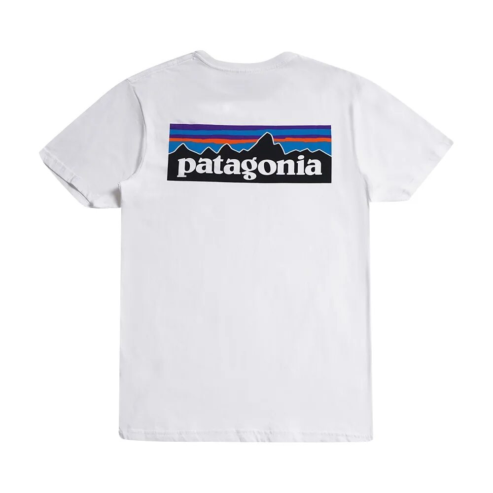 Patagonia майка. Футболка патагония. Футболка патагония мужская. Patagonia футболка мужская. Газгольдер футболка patagonia.