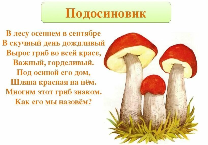 Грибы презентация. Рассказ о грибе сыроежка. Сообщение о грибах 2 класс окружающий мир. Презентация по грибы 2 класс. Сообщение о грибах 2 класс окружающий мир.