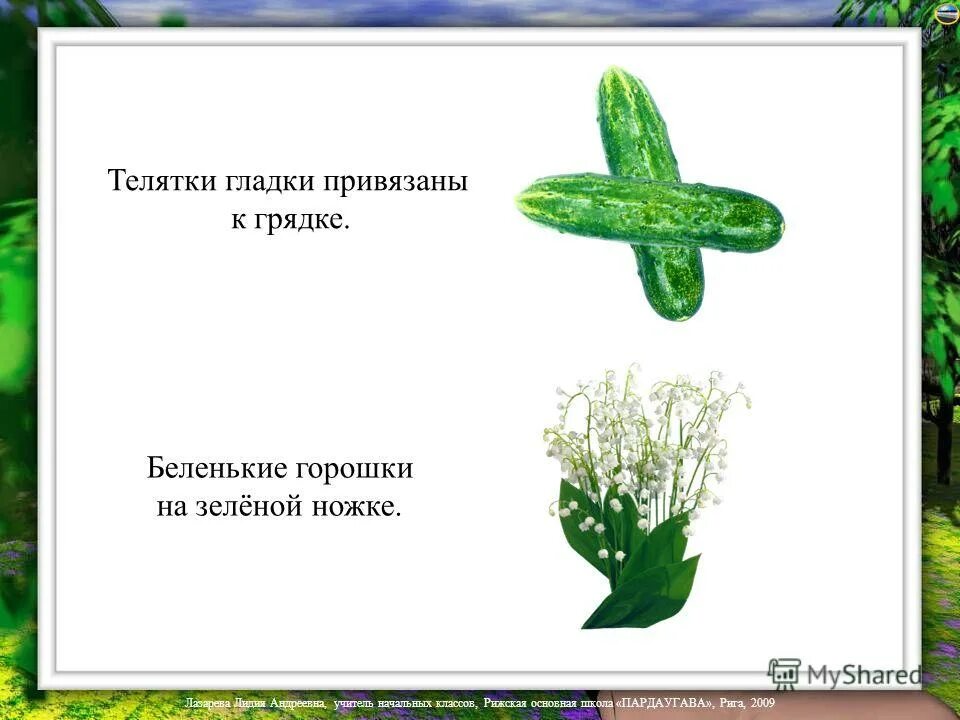 Телятки гладки привязаны к грядке лежат. Сверху зелено снизу красно в землю вросло. Лежат телятки привязаны к грядке ответ. Телятки гладки привязаны к грядке. Без окон без дверей полна горница людей загадка.