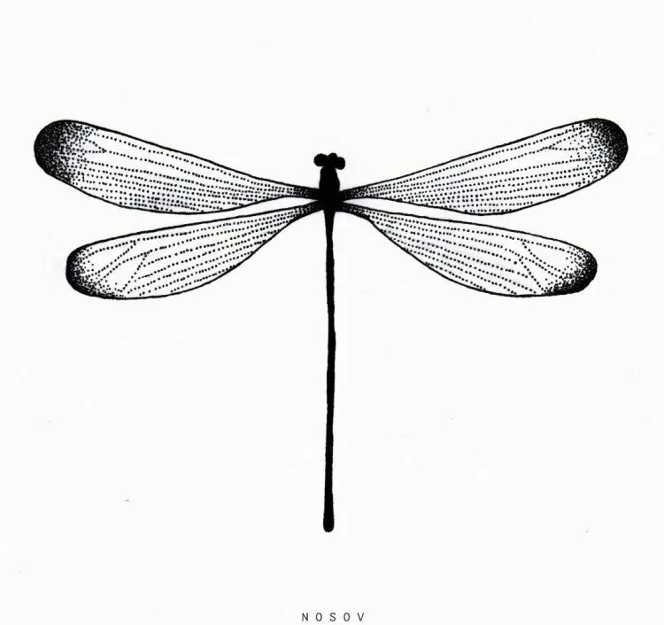 Период колебания крыльев стрекозы 5. Строение крыла самолета. Период колебаний крыльев шмеля 5 мс частота. Частота колебаний крыльев комара 600 гц. Частота колебаний крыльев комара 600 гц.