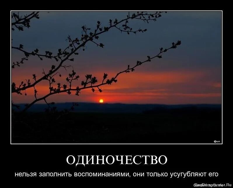 Хочу чтобы бывший был одинок