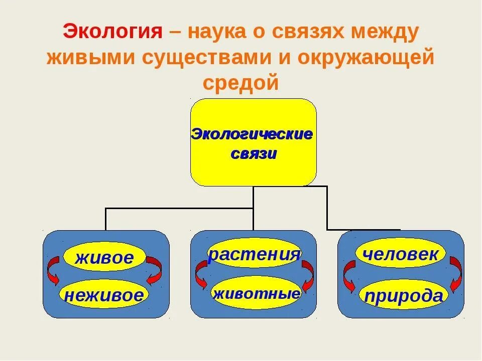 Живое существо таблица. Экологические связи. Экологические связи схема. Экологические связи в сообществе. Модель экологических связей.