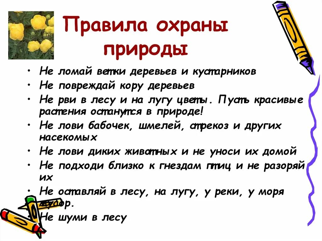 Составь 2 правила сохранения. Правило охраны природы. Памятка по охране природы. Правила охраны растений. Памятка о защите природы.