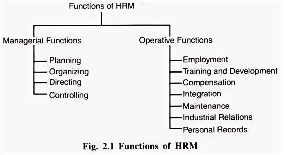 Functions of Human resource Management. HR functions. HRM (Human resource Management). Responsibilities of HRM.