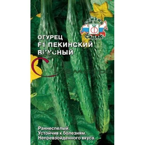 Огурец Пекинский Гурман F1 семена - купить с доставкой по России и Екатеринбургу