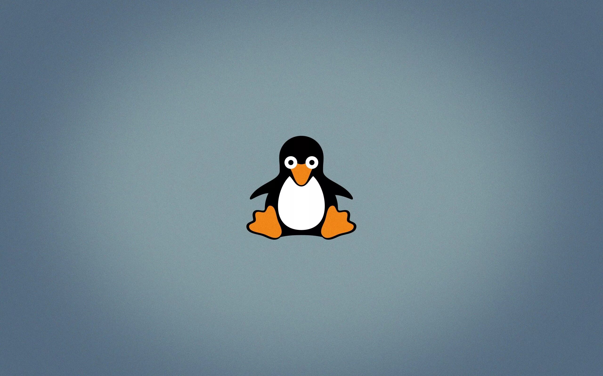 Пингвин Тукс Ubuntu. Linux Пингвин Tux. Linux логотип. Пингвины фон.