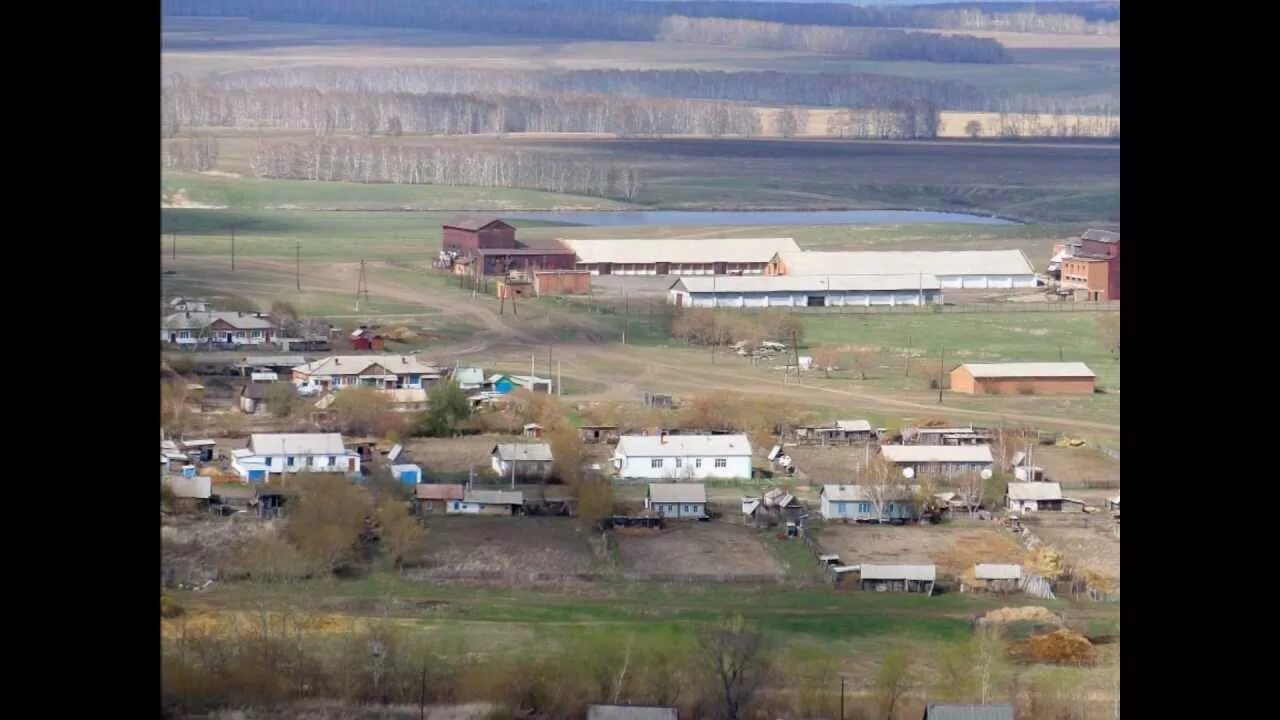 Погода в село родино алтайского края. Родино Алтайский край Шипуновский район. Село Родино Шипуновский район Алтайский край. Алтайский край Родинский район село Родино. Шипуновский район село Родино.