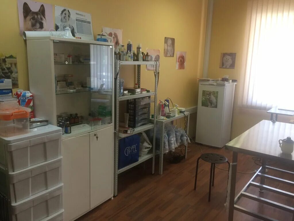 улица пушкинская дом 13 королева. королев ул пушкинская 13. улица пушкинская 13 королев. королёв, микрорайон болшево, пушкинская улица, 15. пушкинская 8 королев.