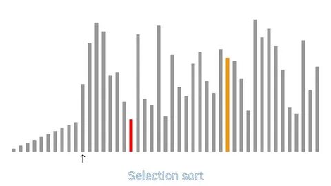 Selection report