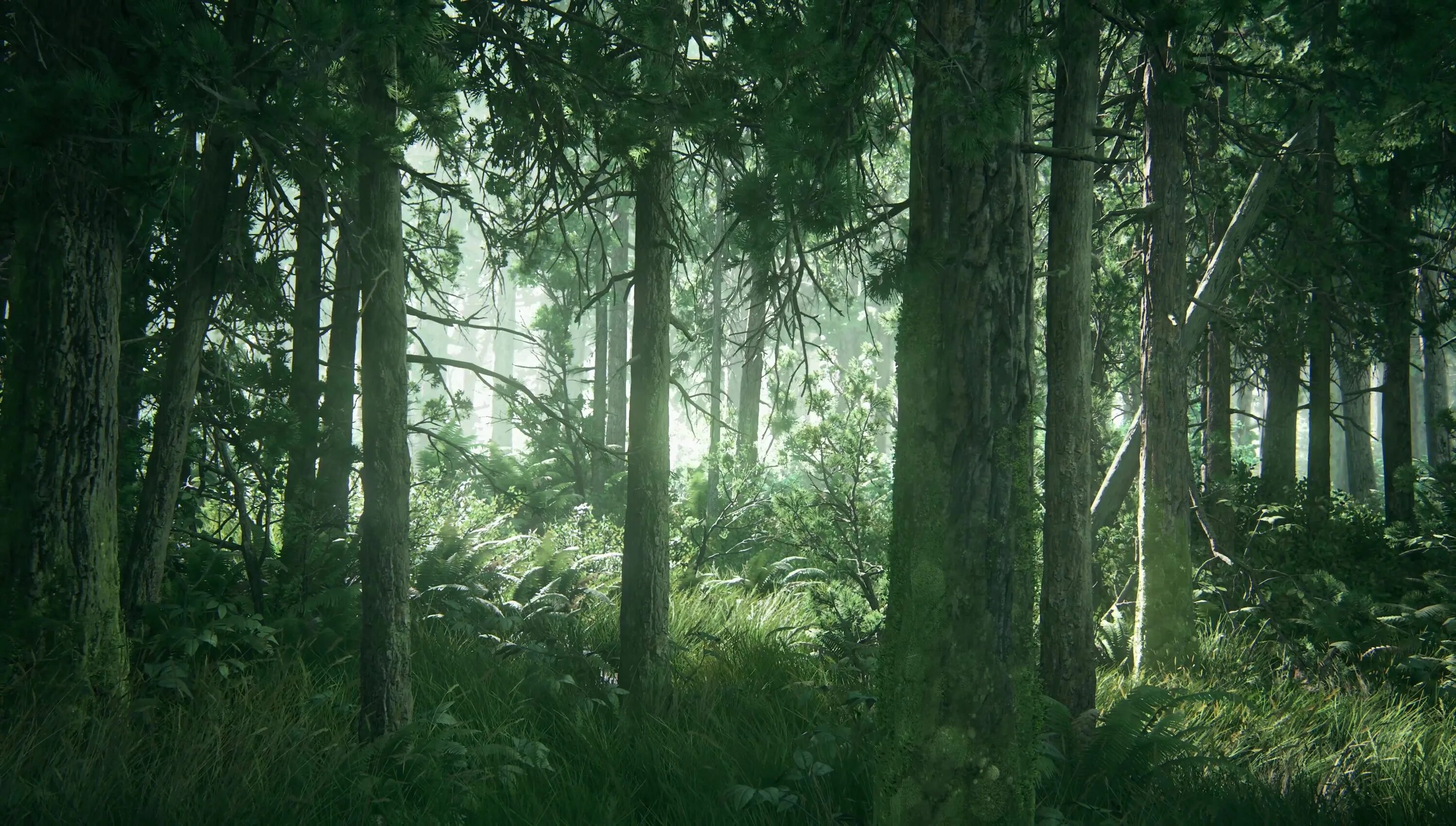 Forest 2 c. The last of us 2 лес. The last of us 2 screenshots лес. The last of us 2 лес на рабочий стол. Фон леса.