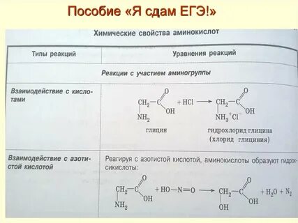 Амины егэ тест