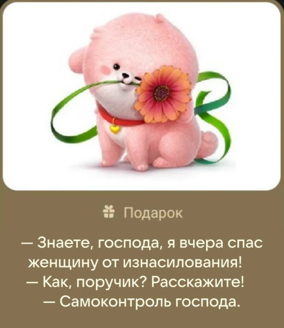 Анекдоты для подарков в вк. Анекдоты про подарки. Смешные подписи к подаркам. Смешные подписи к подаркам в ВК.