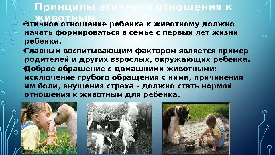 Презентация бережное отношение к животным 3 класс. Гуманное отношение к животным. бережное отношение к животным. воспитание гуманного отношения к животным. ответственное отношение к домашним животным.