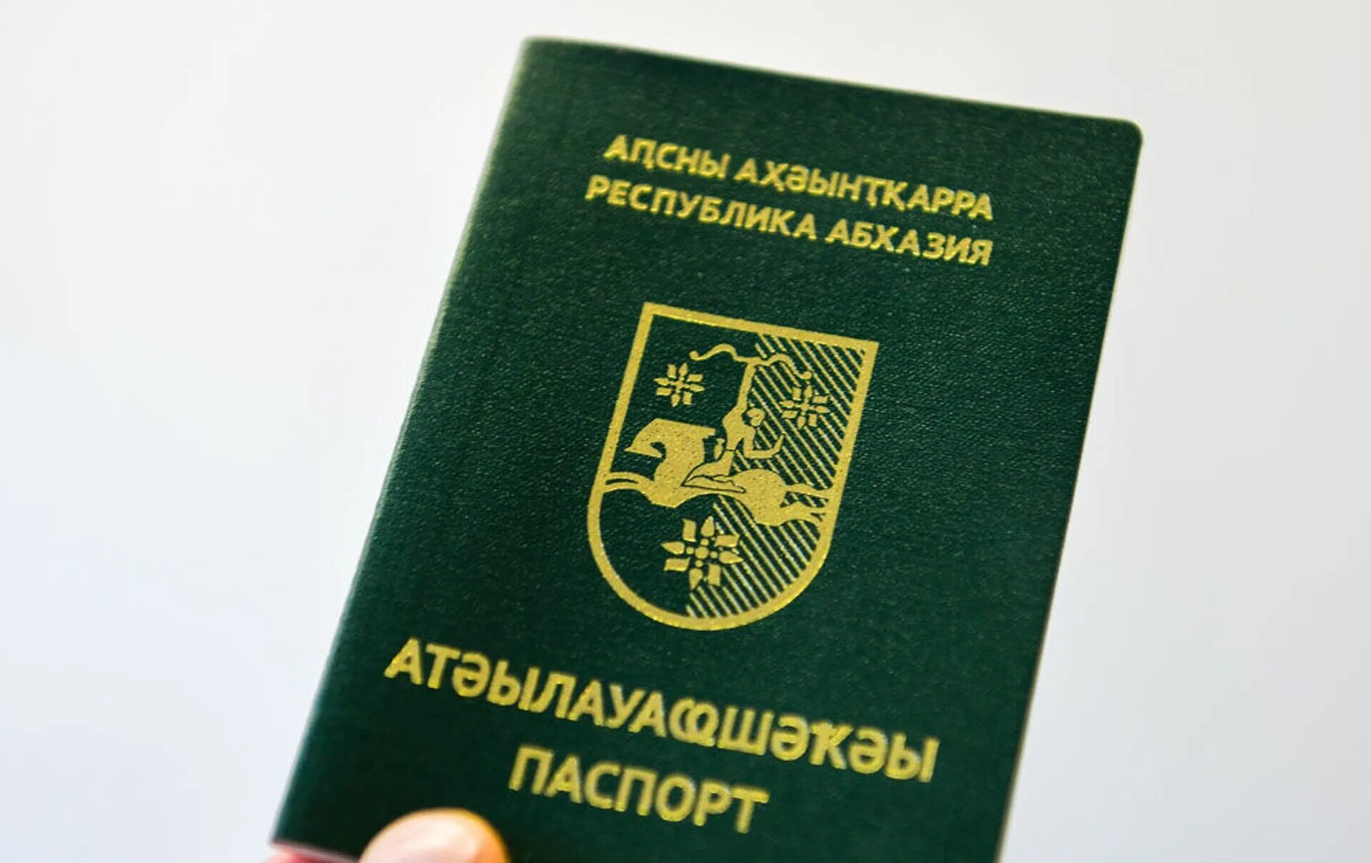 Виза абхазия. Абхазское гражданство. Виза абхазия. Абхазия иностранные граждане. Абхазская виза.