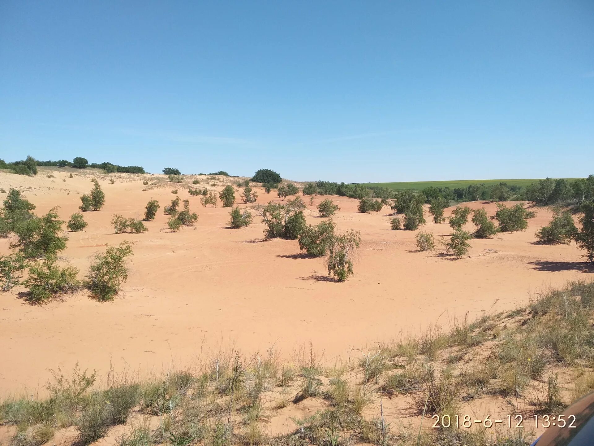 чарские пески. астрахань полупустыня пустыня. астрахань пески пустыня. астрахань пустыня бархан. астрахань пески барханы.