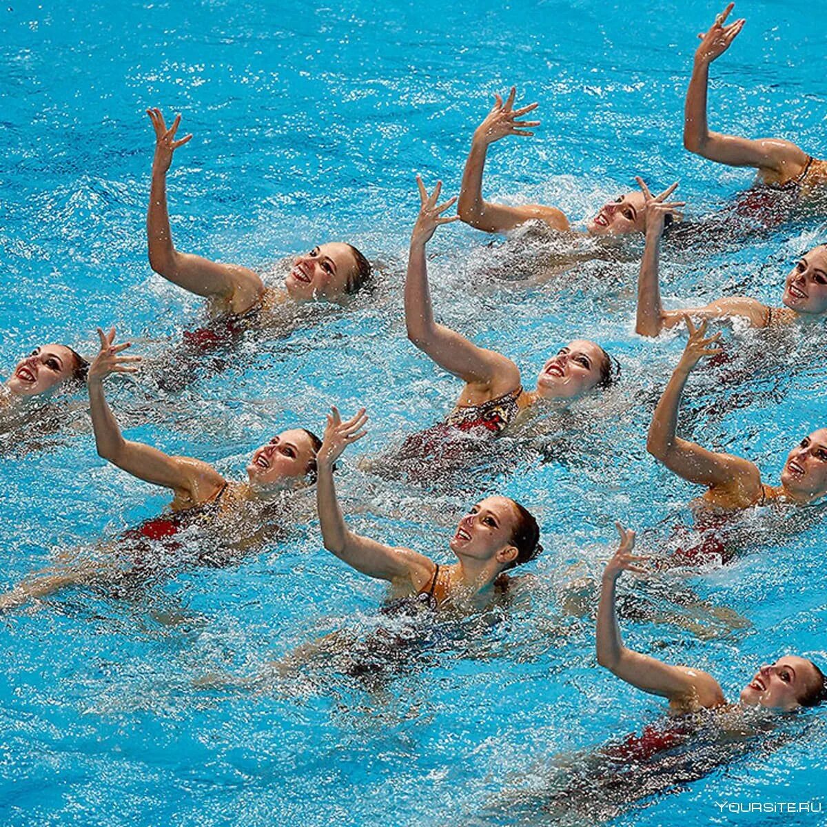 Среди водных видов спорта. Water polo sport. Плавать в бассейне. Спортивное плавание брасс. Спорт глухих плавание.