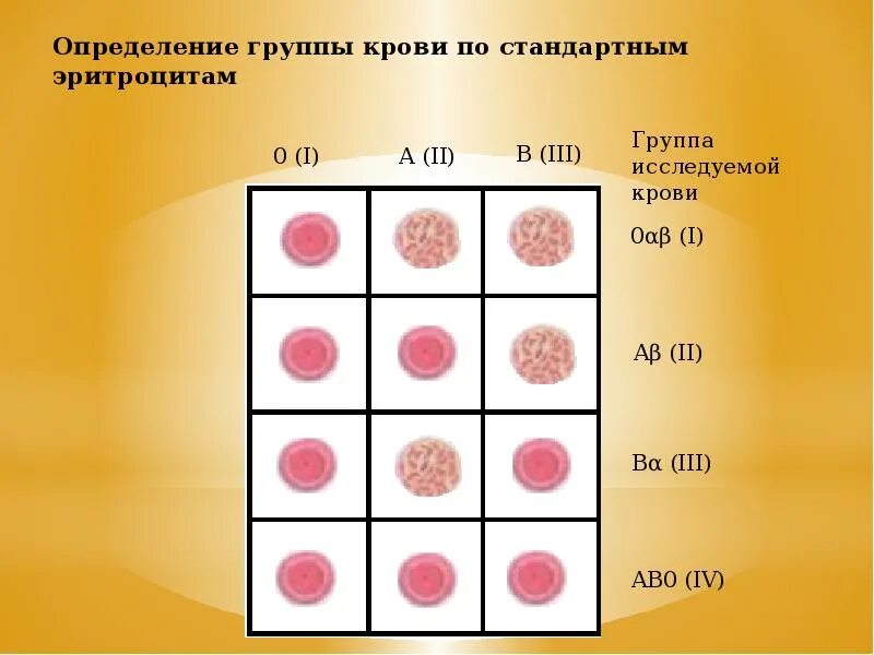 Метод перекрестные группы. Определение группы крови по стандартным эритроцитам. Метод определения группы крови с помощью стандартных эритроцитов. Группы крови определяются 1 а и в в эритроцитах и 2. Набор стандартных эритроцитов для определения группы крови.