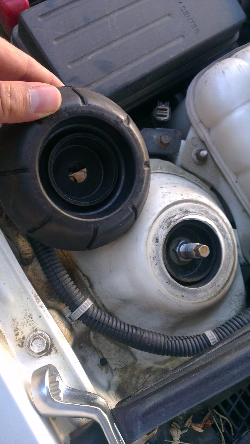 Правильная сборка передней опоры лачетти. Замена опор лачетти. Опорный подшипник лачетти 1. Опорники лачетти передние. Опора стойки шевроле лачетти.