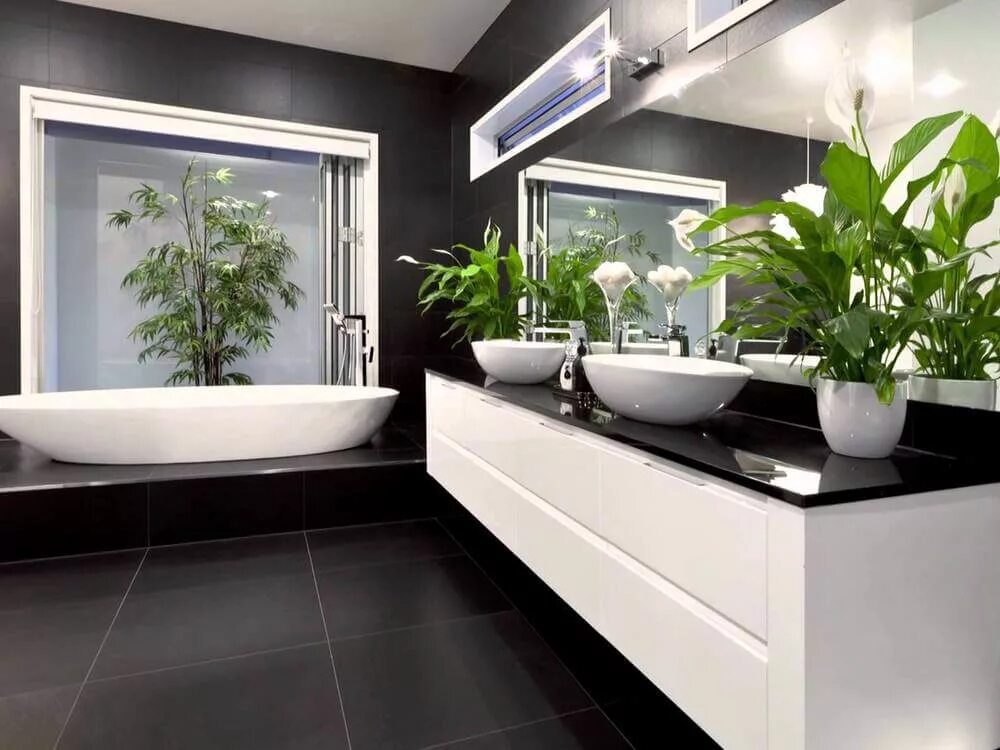 Ванная комната. Растения в ванной комнате. Современная ванная. Комнатные растения в ванной. Комната без растений
