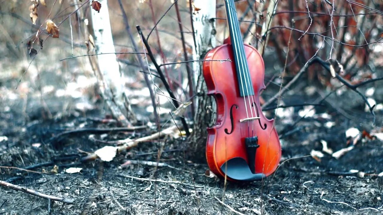 Вивальди август. Антонио Вивальди времена года. Шедевры классики. «Времена года» Вивальди. Концерт Вивальди времена года.