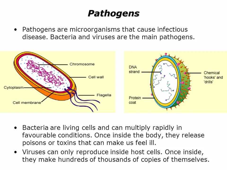 Causing infection