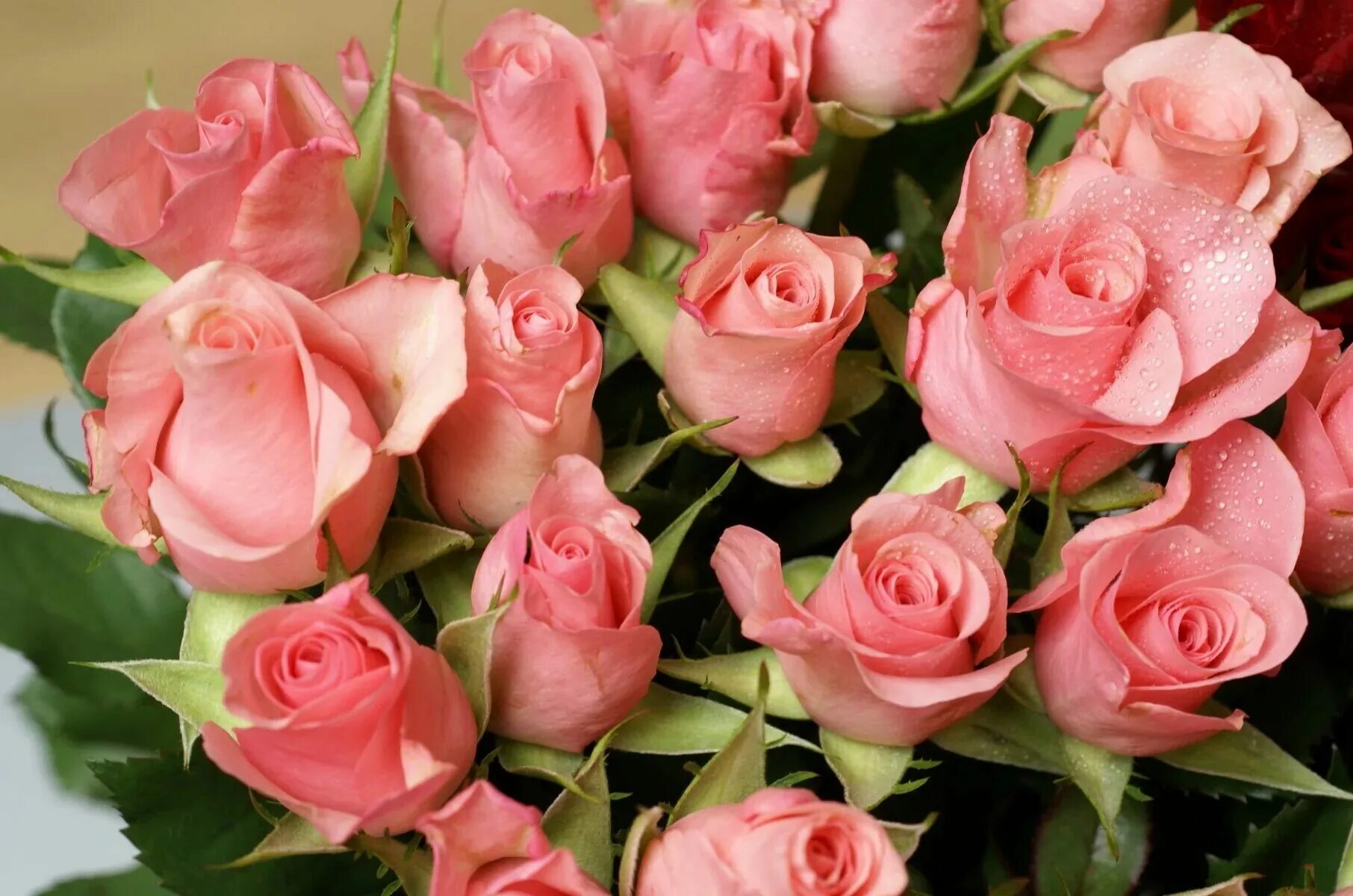 Красивый букет. Красивый букет роз. Шикарные цветы. Красивое фото с юбилеем