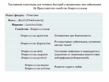 Характеристика таксономии