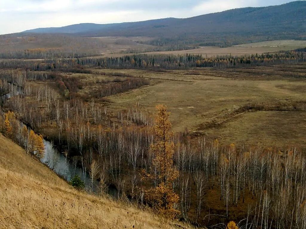 Погода село партизанское партизанского района