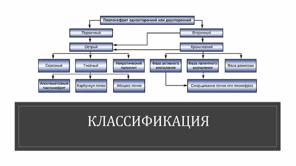 Острый пиелонефрит классификация. Формы острого пиелонефрита. Классификация пиелонефрита у детей. Периоды острого пиелонефрита у детей.