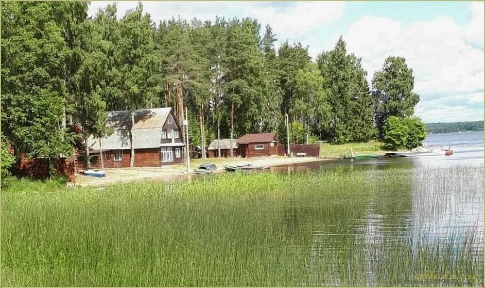 Отдых на селигере тверская область. Мельница на селигере. Озеро волго тверская область турбаза. Отдых на селигере тверская область. Турбаза чайка тверская область.