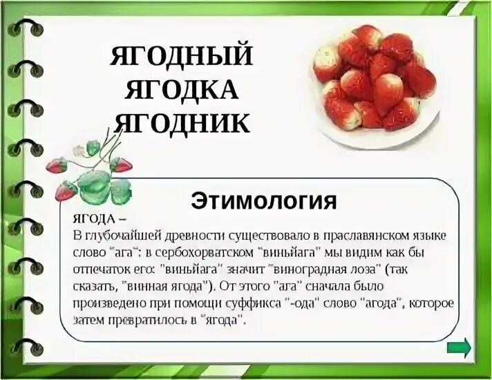 Слово ягода по слогам. Происхождение слова ягода. Ягода словарное слово. Происхождение слова земляника. Словарная статья о ягодах.