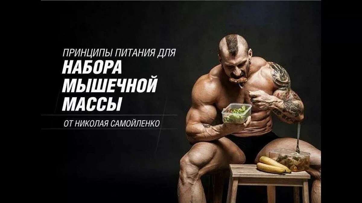 Гейнер масс. Гейнер triav 4500гр. Набор массы дешево. Набор массы дешево. Набор спортпита для набора массы.